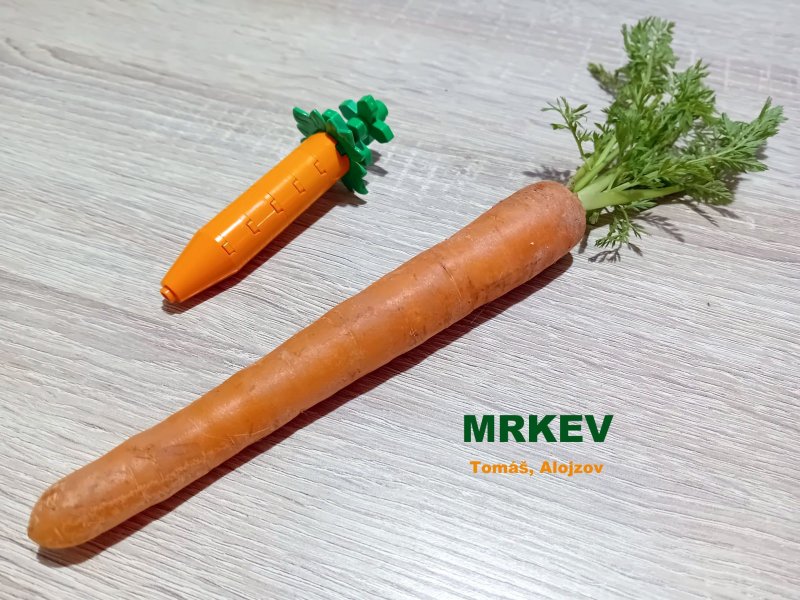 foto SOUTĚŽ Stav podle předlohy 17232