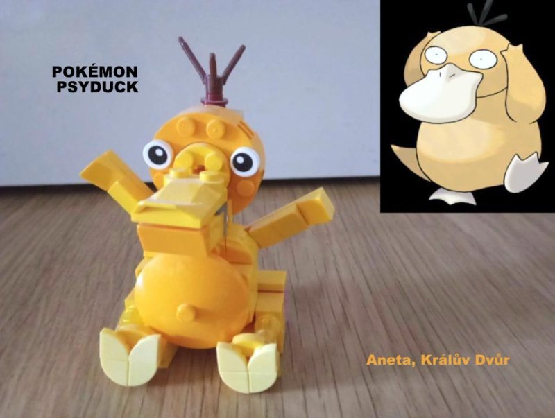 foto SOUTĚŽ Stav podle předlohy 17229