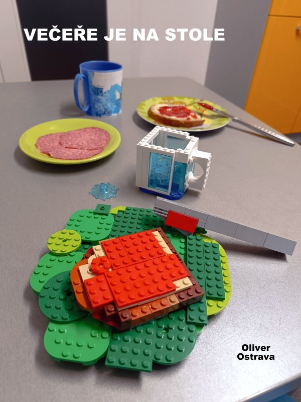 foto SOUTĚŽ Stav podle předlohy 17239