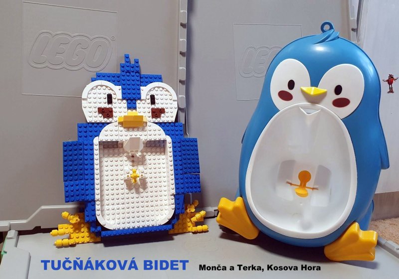 foto SOUTĚŽ Stav podle předlohy 17240