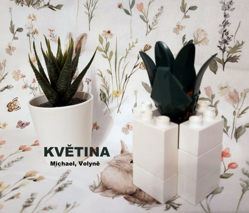 foto SOUTĚŽ Stav podle předlohy 17245