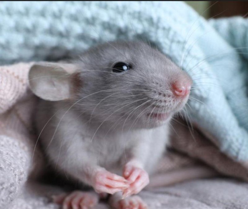 foto SOUTĚŽ Stav podle předlohy 17252