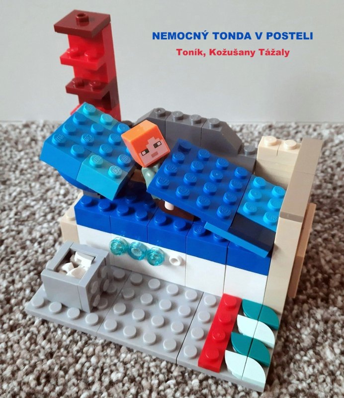 foto SOUTĚŽ Stav podle předlohy 17253