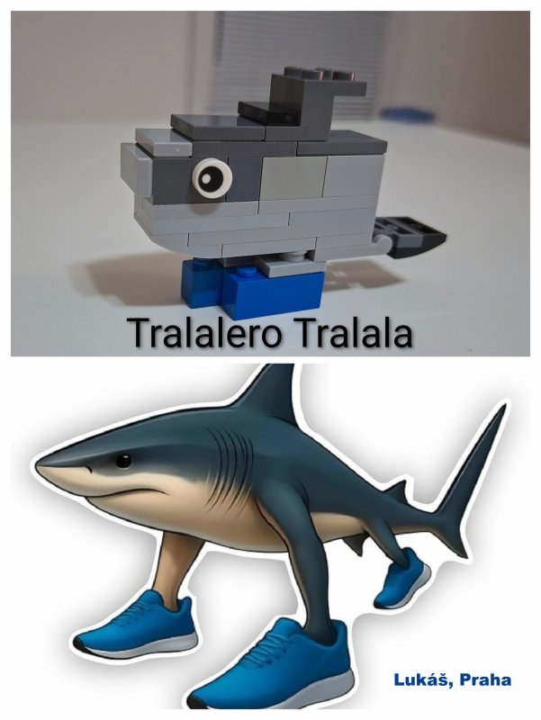 foto SOUTĚŽ Stav podle předlohy 17255