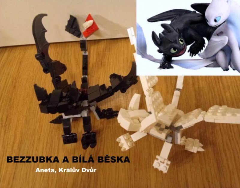 foto SOUTĚŽ Stav podle předlohy 17256