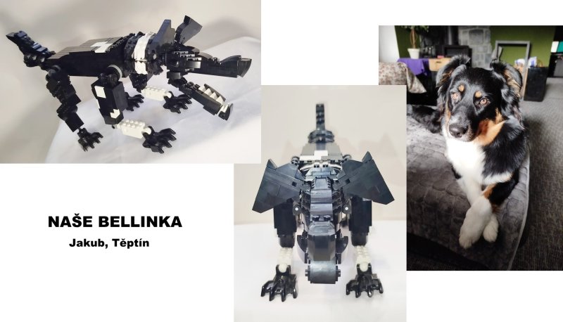 foto SOUTĚŽ Stav podle předlohy 17261