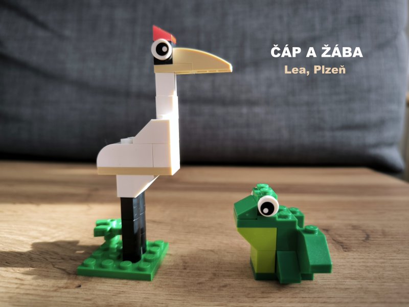 foto SOUTĚŽ Stav podle předlohy 17259