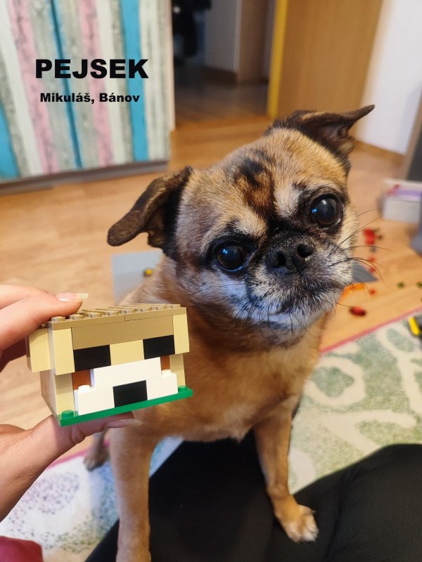 foto SOUTĚŽ Stav podle předlohy 17262