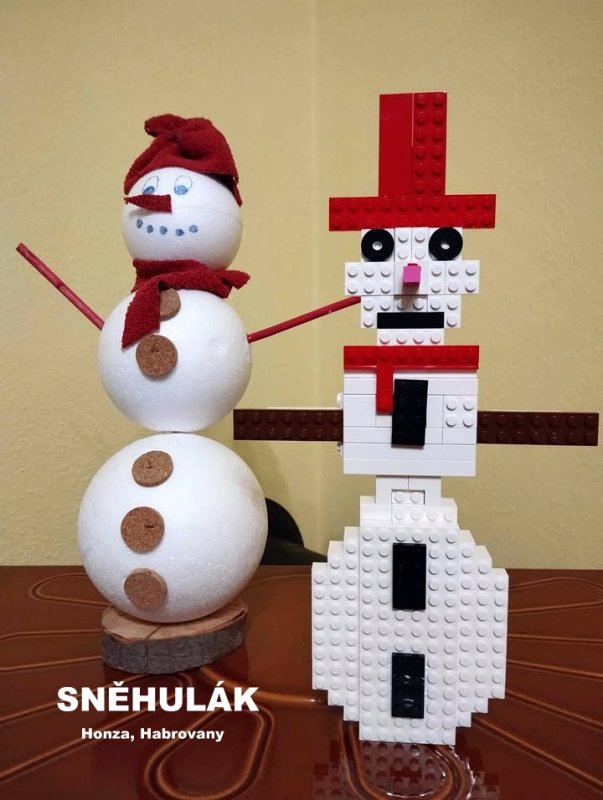 foto SOUTĚŽ Stav podle předlohy 17265