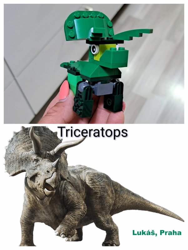 foto SOUTĚŽ Stav podle předlohy 17272