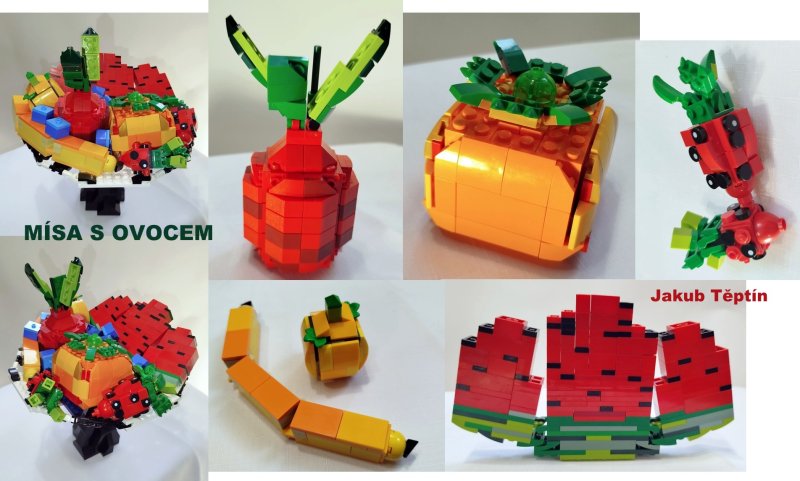 foto SOUTĚŽ Stav podle předlohy 17275