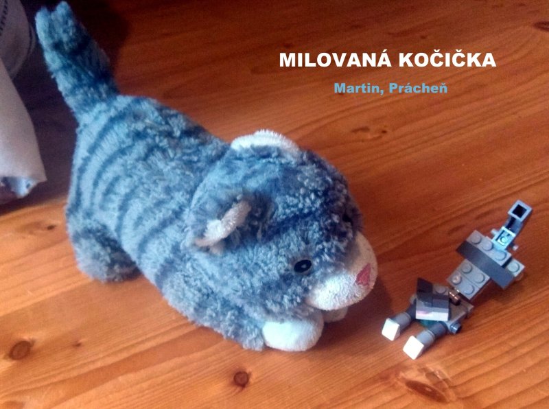 foto SOUTĚŽ Stav podle předlohy 17287