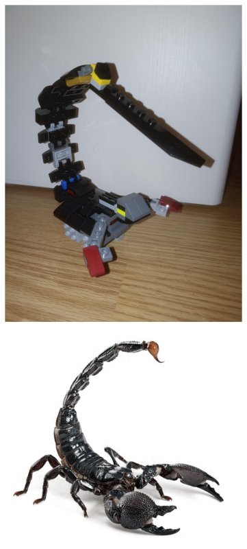 foto SOUTĚŽ Stav podle předlohy 17290