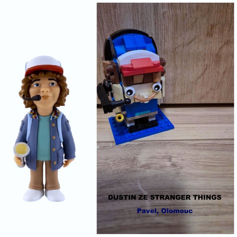 foto SOUTĚŽ Stav podle předlohy 17293