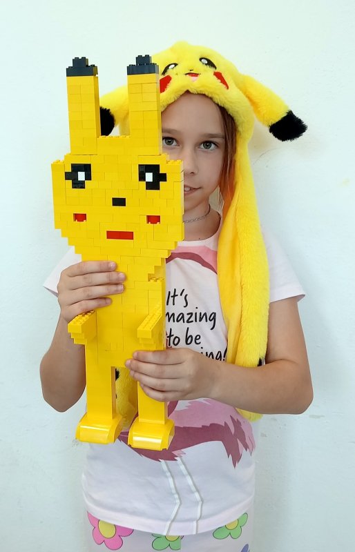 foto Pika PIKACHU 17418