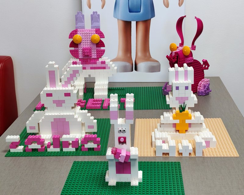 foto nejen ZAJÍČCI