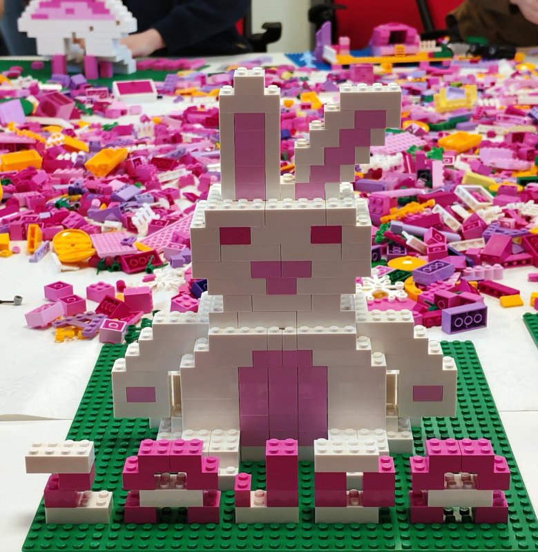 foto nejen ZAJÍČCI 17534