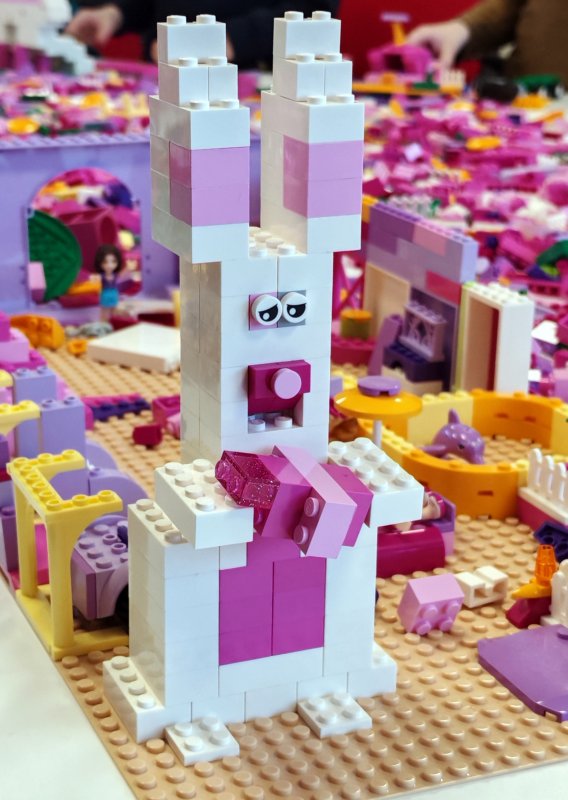 foto nejen ZAJÍČCI 17536