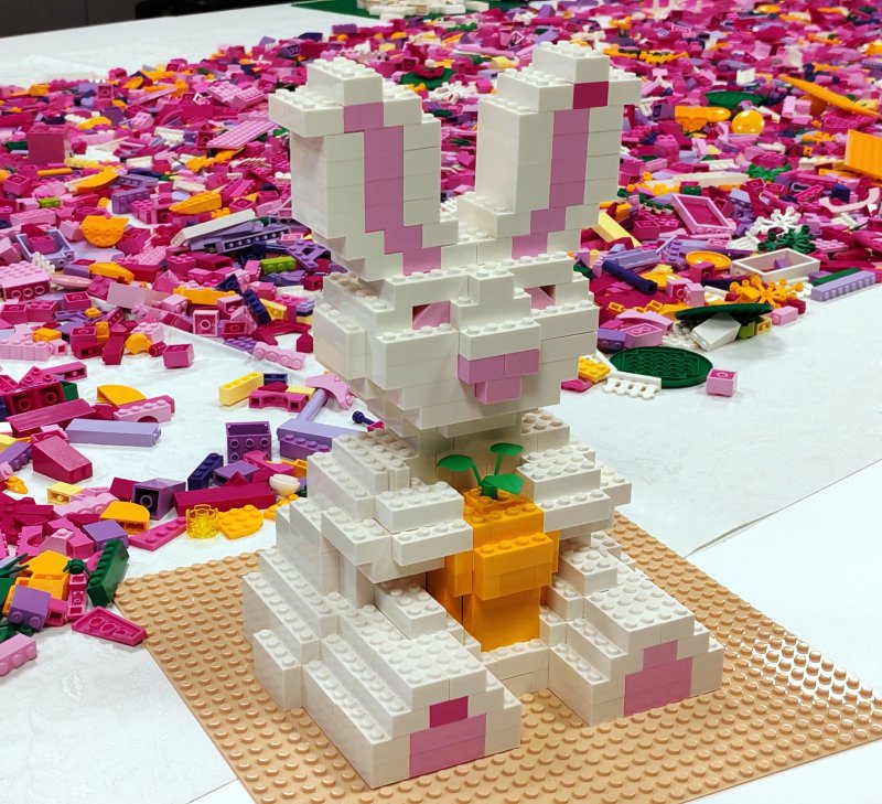 foto nejen ZAJÍČCI 17537