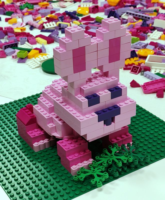 foto nejen ZAJÍČCI 17539