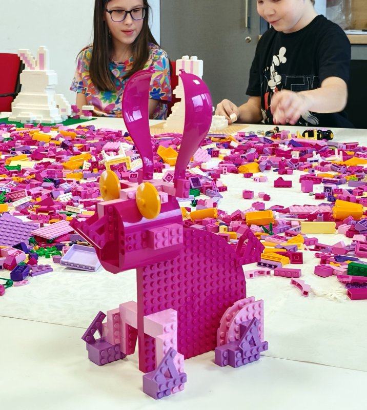 foto nejen ZAJÍČCI 17541