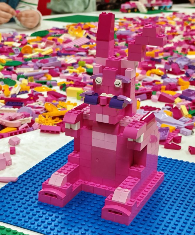 foto nejen ZAJÍČCI 17542