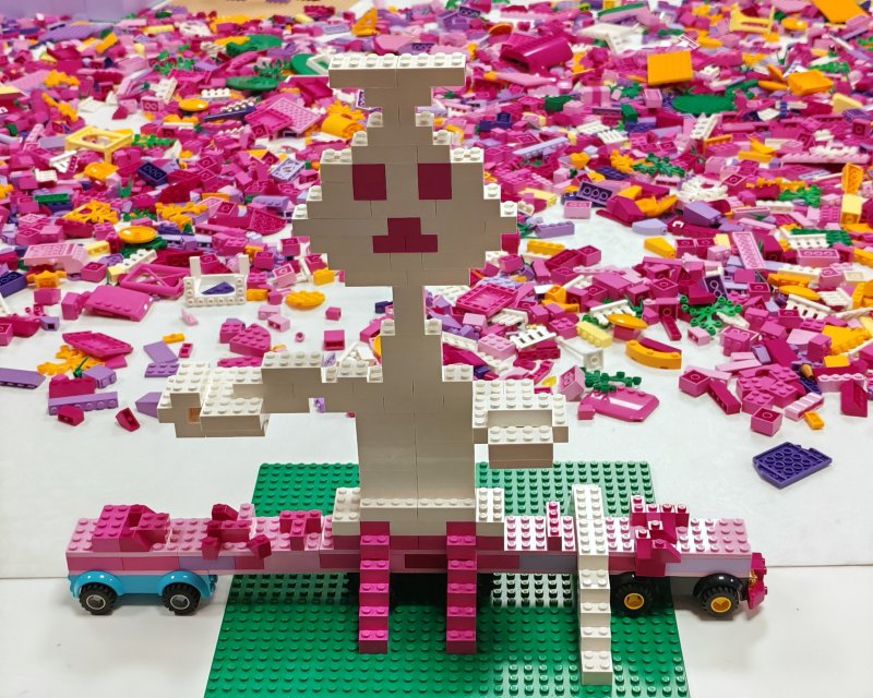 foto nejen ZAJÍČCI 17543