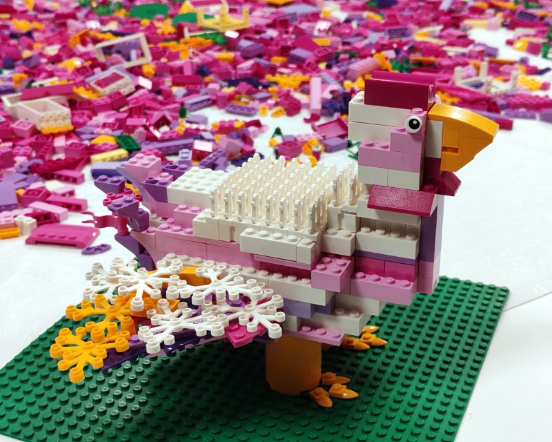 foto nejen ZAJÍČCI 17545