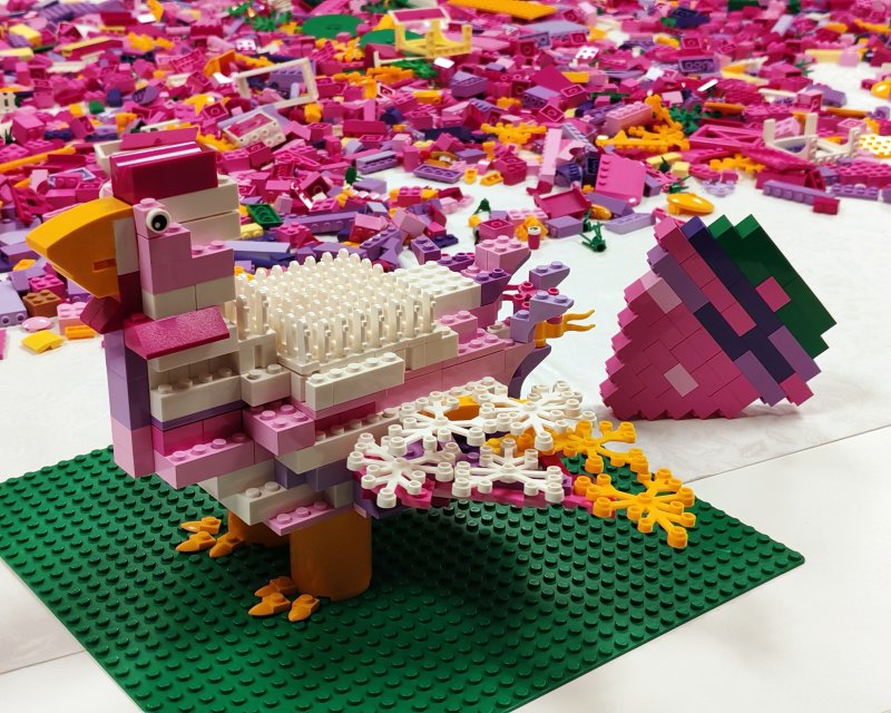 foto nejen ZAJÍČCI 17546