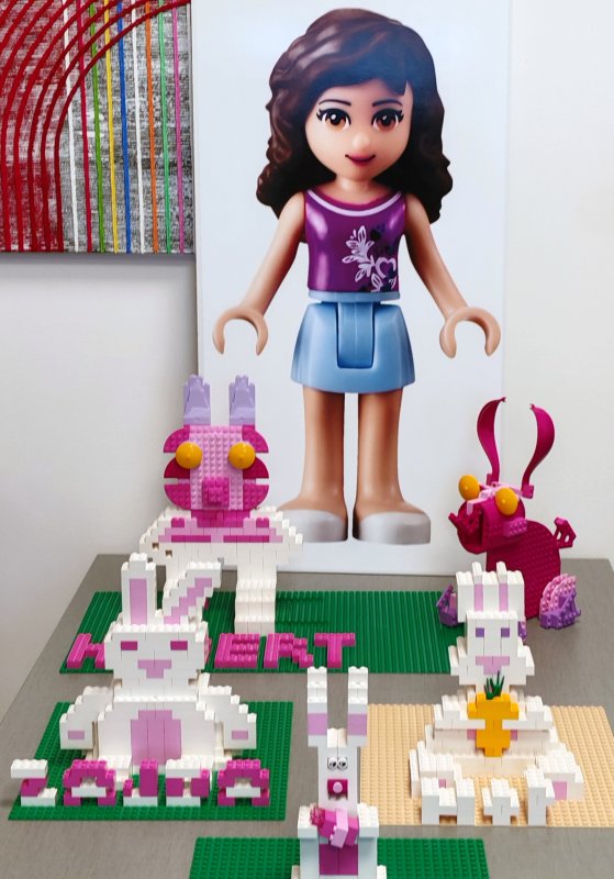 foto nejen ZAJÍČCI 17547