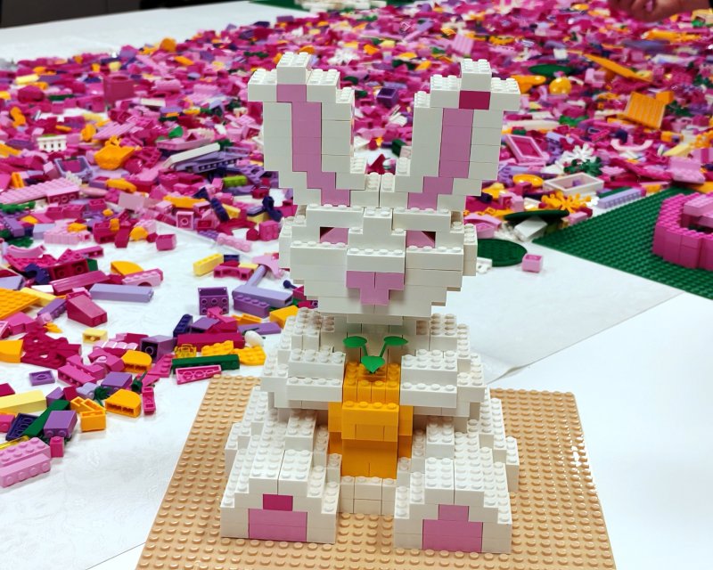 foto nejen ZAJÍČCI 17548