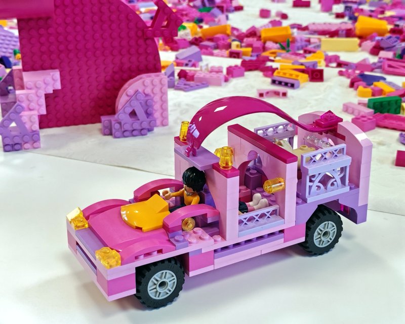 foto nejen ZAJÍČCI 17549