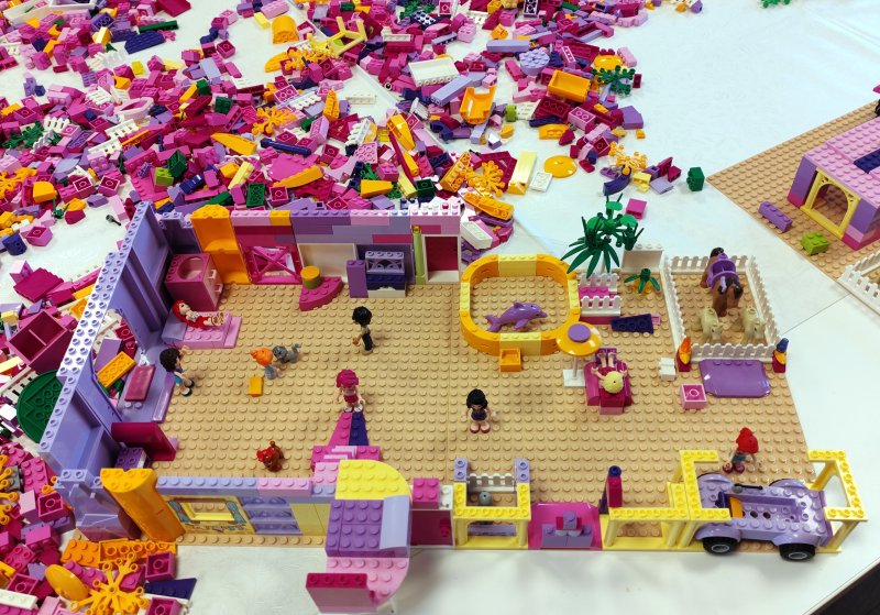 foto nejen ZAJÍČCI 17552