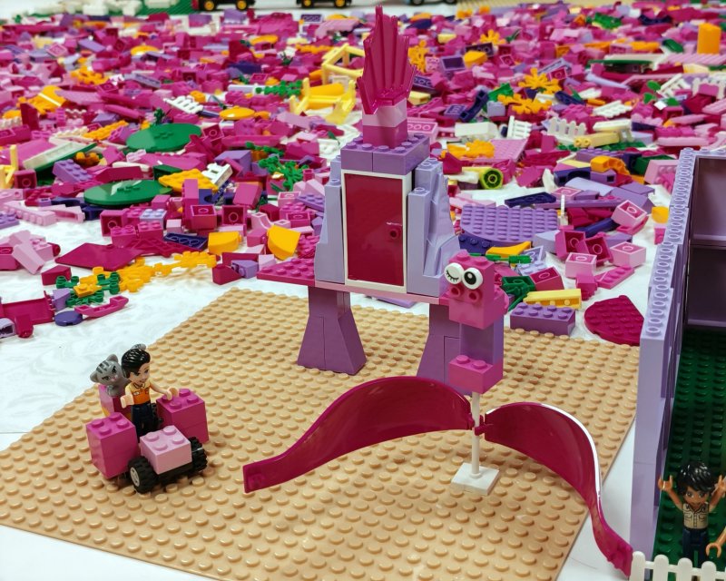 foto nejen ZAJÍČCI 17556