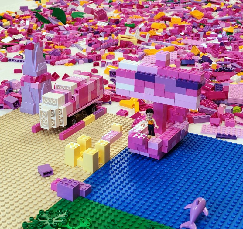 foto nejen ZAJÍČCI 17557