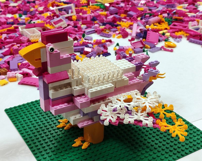 foto nejen ZAJÍČCI 17564