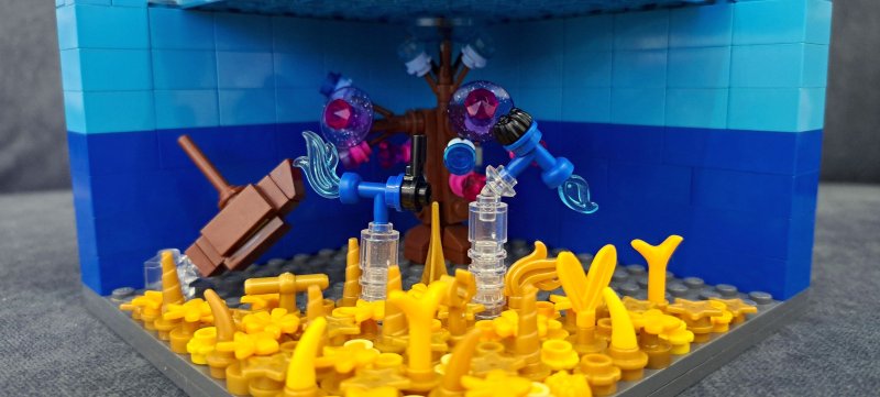 foto SOUTĚŽ Mikro 17575