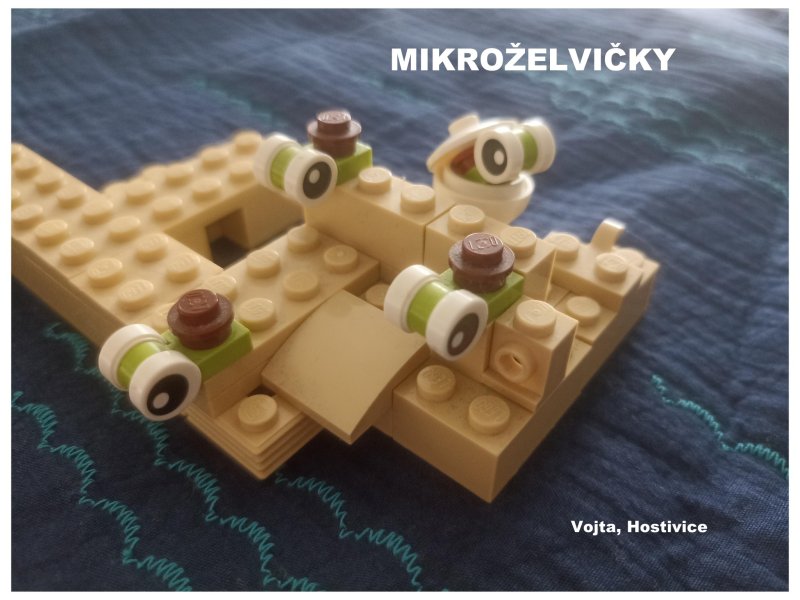 foto SOUTĚŽ Mikro 17595