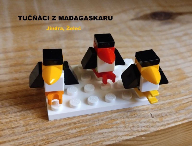 foto SOUTĚŽ Mikro 17608