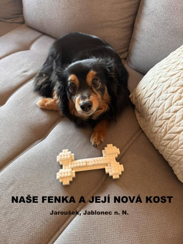 foto SOUTĚŽ Dostav to 17656