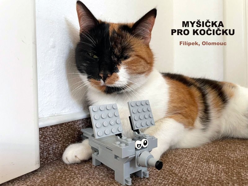 foto SOUTĚŽ Dostav to 17669