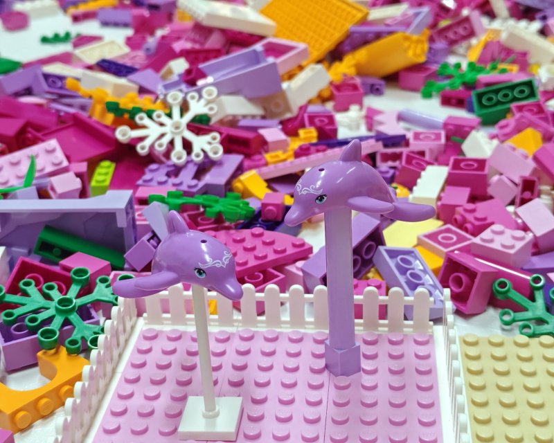 foto FRIENDS svět 17738