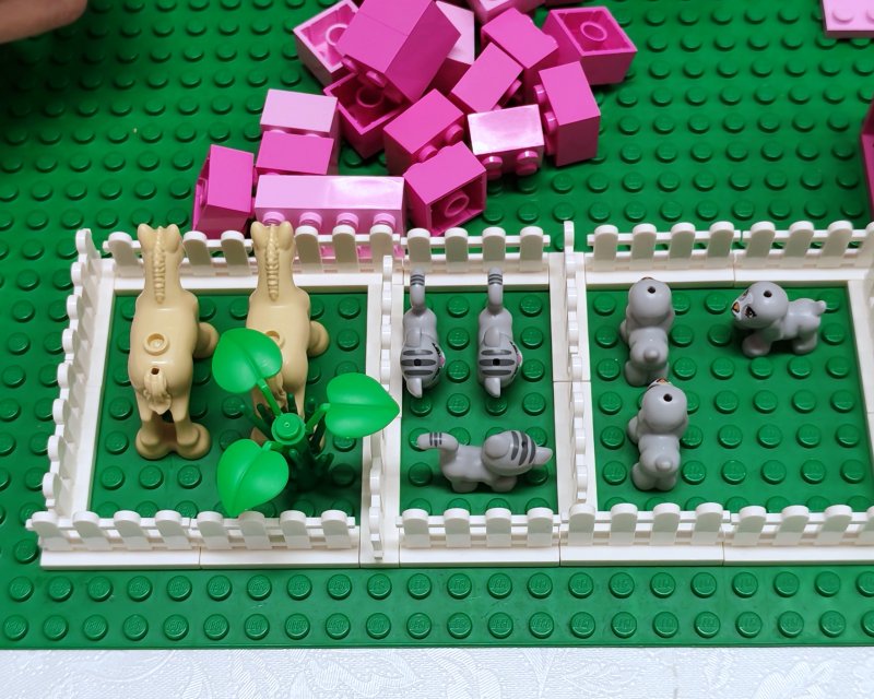 foto FRIENDS svět 17748