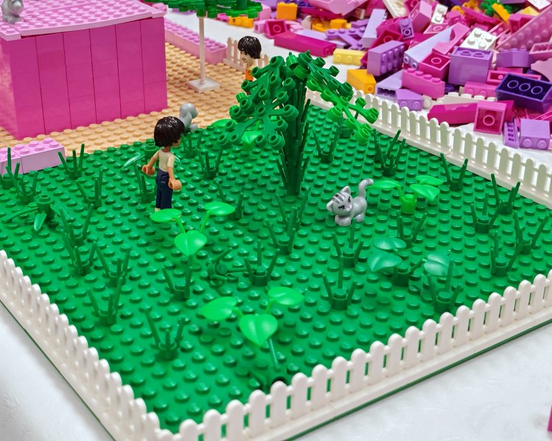 foto FRIENDS svět 17757