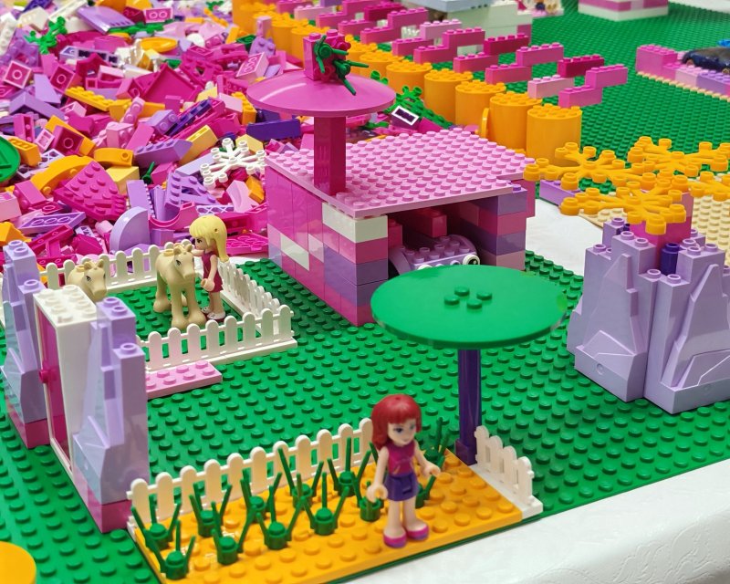 foto FRIENDS svět 17758