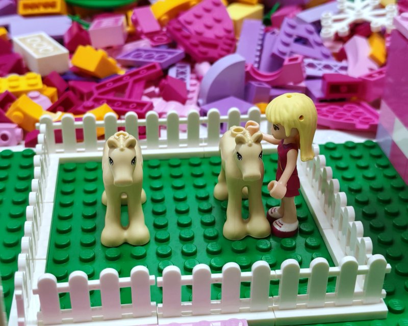 foto FRIENDS svět 17759