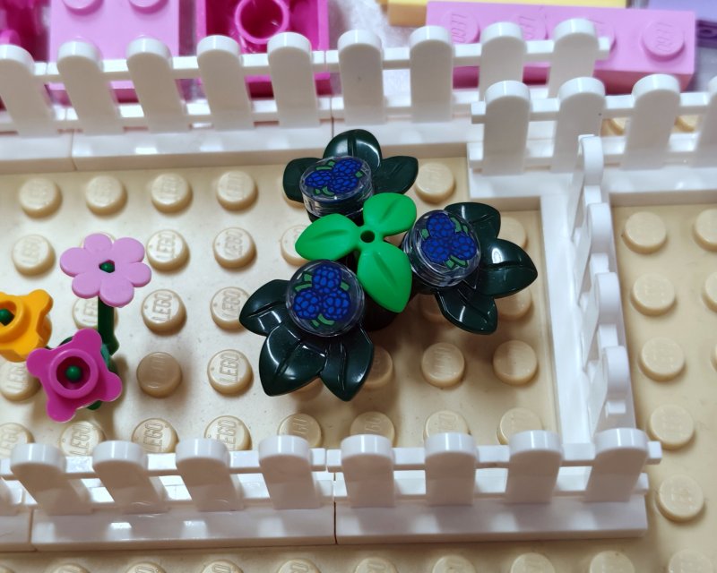 foto FRIENDS svět 17764