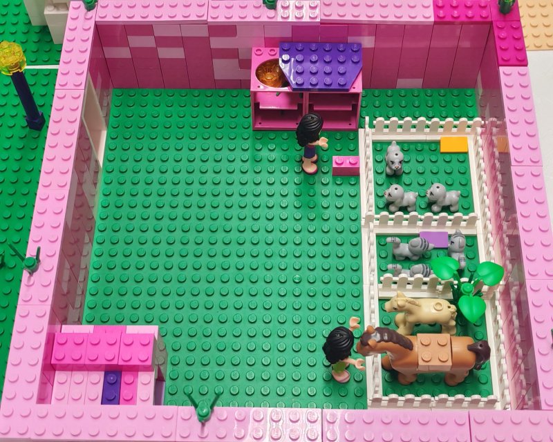 foto FRIENDS svět 17767