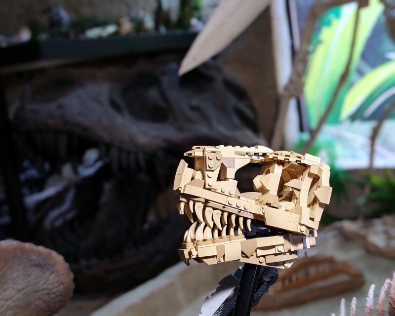 foto Kostkování mezi DINOSAURY 19265