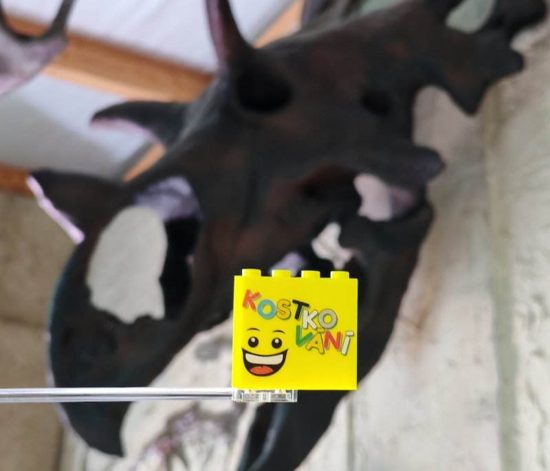 foto Kostkování mezi DINOSAURY 19274
